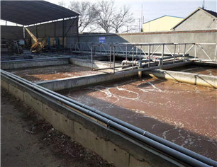 永康养猪屠宰场约500吨污水处理改造项目